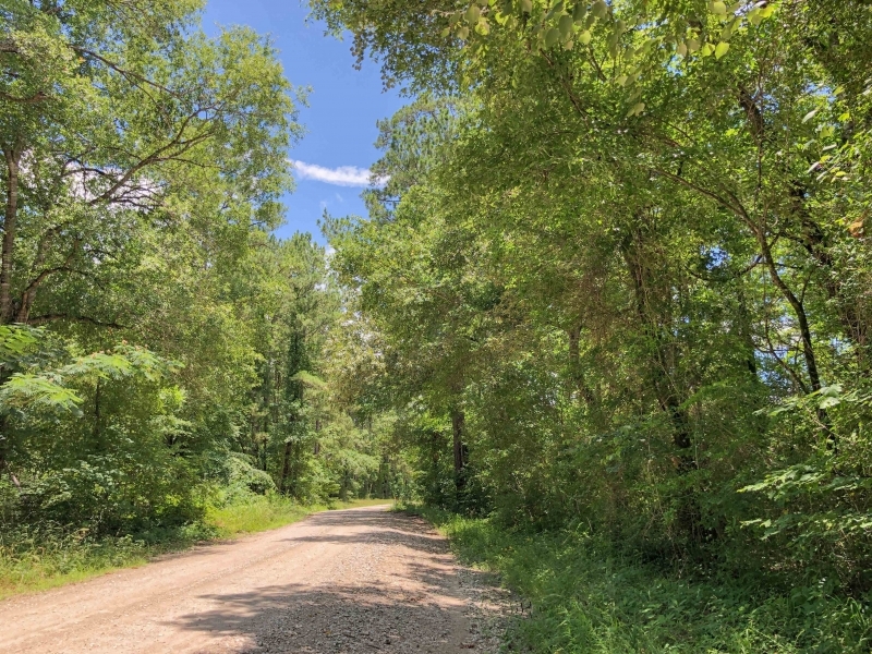 826 Acres &nbsp; Rosenwall Road featured image