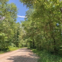 826 Acres &nbsp; Rosenwall Road
