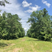 826 Acres &nbsp; Rosenwall Road images 4