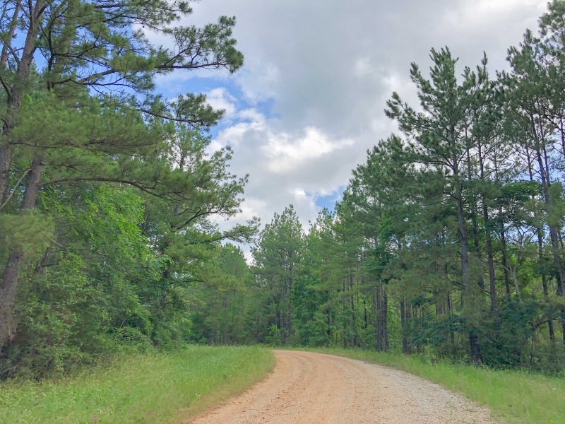 68 Acres &nbsp; Hwy 21 featured image