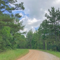 68 Acres &nbsp; Hwy 21