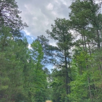 68 Acres &nbsp; Hwy 21 images 2