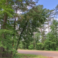 68 Acres &nbsp; Hwy 21 images 6