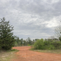 14 Acres &nbsp; CR 2864 &nbsp; Tract 1017 images 4