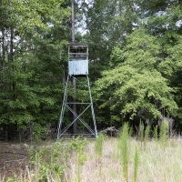 112.77 Acres of Hunting Land with a Home images 5