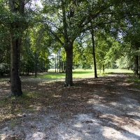 112.77 Acres of Hunting Land with a Home images 4