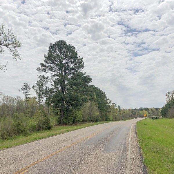 434 Acres &nbsp; Hwy 248 &nbsp; Tract 1019 featured image