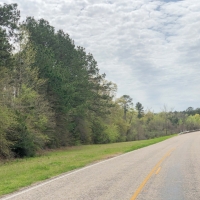 434 Acres &nbsp; Hwy 248 &nbsp; Tract 1019 images 2