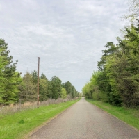 141 Acres &nbsp; CR 2115 &nbsp; Tract 1011