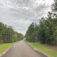 141 Acres &nbsp; CR 2115 &nbsp; Tract 1011 images 6