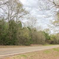 98 Acres &nbsp; FM 1399 &nbsp; Tract 1010 images 4