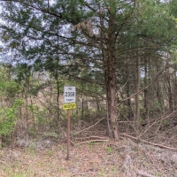 122 Acres &nbsp; CR 2358 &nbsp; Tract 1010 images 6