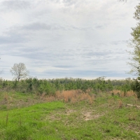 35 Acres &nbsp; CR 4507 &nbsp; Tract 1004