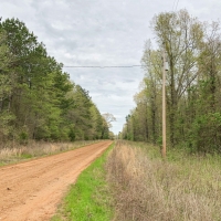 114 Acres &nbsp; CR 4268 &nbsp; Tract 1004