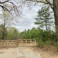 114 Acres &nbsp; CR 4268 &nbsp; Tract 1004 images 2