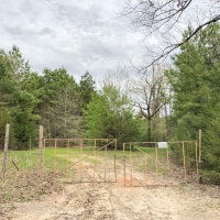 114 Acres &nbsp; CR 4268 &nbsp; Tract 1004 images 5