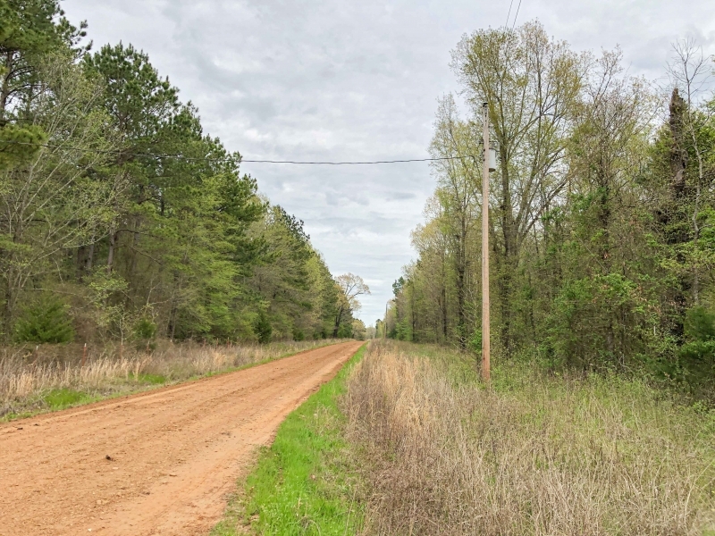 5742 Acres &nbsp; CR 4308 CR 4268 &nbsp; Tract 1004 featured image