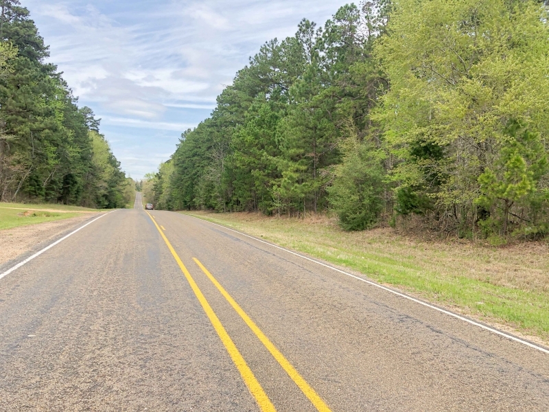 168 Acres &nbsp; FM 251 &nbsp; Tract 1012 featured image