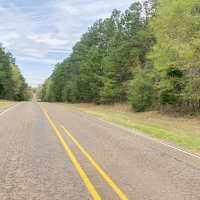 168 Acres &nbsp; FM 251 &nbsp; Tract 1012