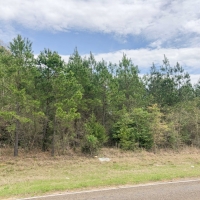 168 Acres &nbsp; FM 251 &nbsp; Tract 1012 images 2