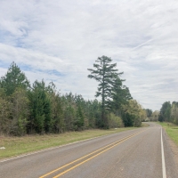 168 Acres &nbsp; FM 251 &nbsp; Tract 1012 images 3