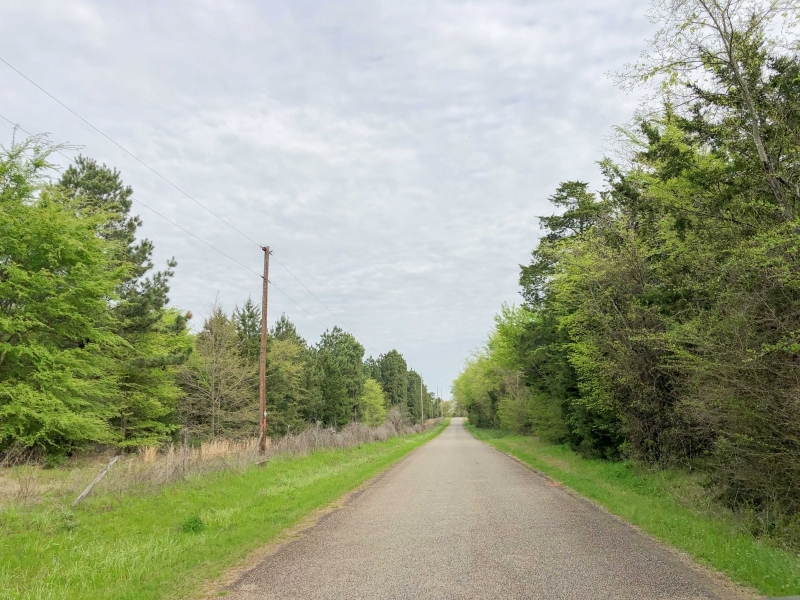 179 Acres &nbsp; CR 2115 &nbsp; Tract 1011 featured image