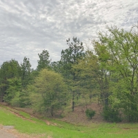 179 Acres &nbsp; CR 2115 &nbsp; Tract 1011 images 3