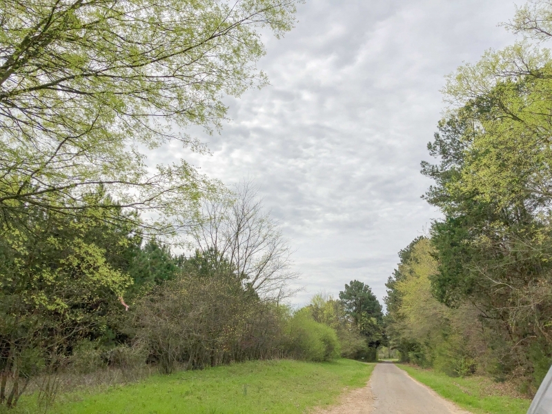 433 Acres &nbsp; CR 3201 &nbsp; Tract 1008 featured image