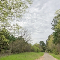 433 Acres &nbsp; CR 3201 &nbsp; Tract 1008