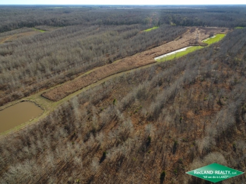 246 ac - Premium Hunting Tract with Camp featured image