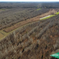 246 ac - Premium Hunting Tract with Camp