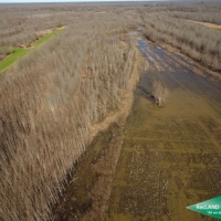 246 ac - Premium Hunting Tract with Camp images 2