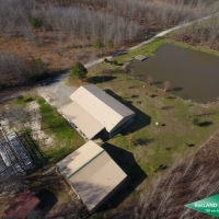 246 ac - Premium Hunting Tract with Camp images 3
