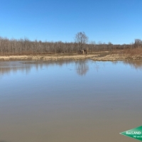 246 ac - Premium Hunting Tract with Camp images 6