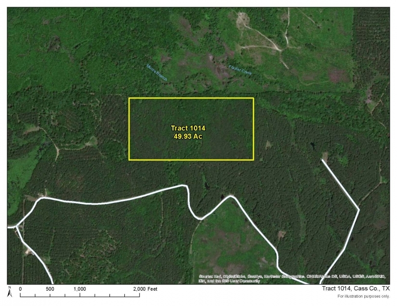 49 Acres &nbsp; Off Hwy 43 &nbsp; Tract 1014 featured image