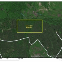 49 Acres &nbsp; Off Hwy 43 &nbsp; Tract 1014