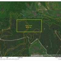 49 Acres &nbsp; Off Hwy 43 &nbsp; Tract 1014 images 2