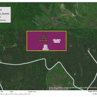 49 Acres &nbsp; Off Hwy 43 &nbsp; Tract 1014 images 3