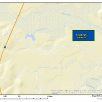 49 Acres &nbsp; Off Hwy 43 &nbsp; Tract 1014 images 4