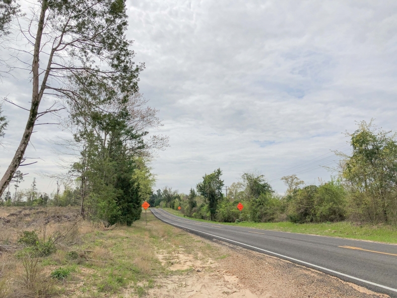 87 Acres &nbsp; FM 1399 &nbsp; Tract 1016 featured image