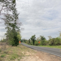 87 Acres &nbsp; FM 1399 &nbsp; Tract 1016