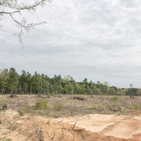 87 Acres &nbsp; FM 1399 &nbsp; Tract 1016 images 6