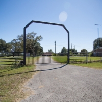 356 Acres &nbsp; Bedias Ranch &nbsp; FM 1696 images 3