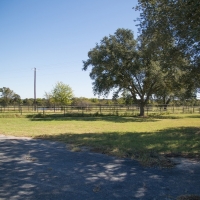 356 Acres &nbsp; Bedias Ranch &nbsp; FM 1696 images 4