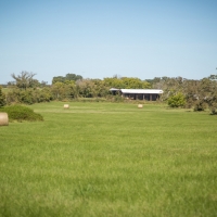 356 Acres &nbsp; Bedias Ranch &nbsp; FM 1696 images 5