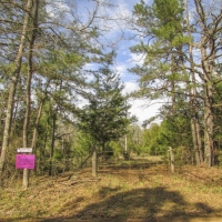 96 Acres &nbsp; CR 2107 images 2