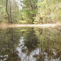 96 Acres &nbsp; CR 2107 images 6
