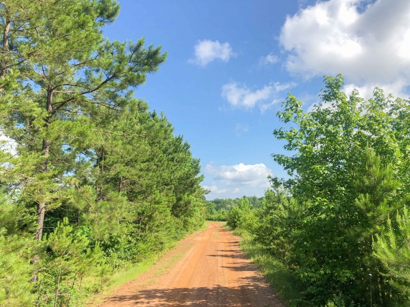 105 Acres &nbsp; Beaver Bend featured image