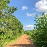 105 Acres &nbsp; Beaver Bend