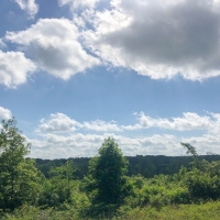 105 Acres &nbsp; Beaver Bend images 2